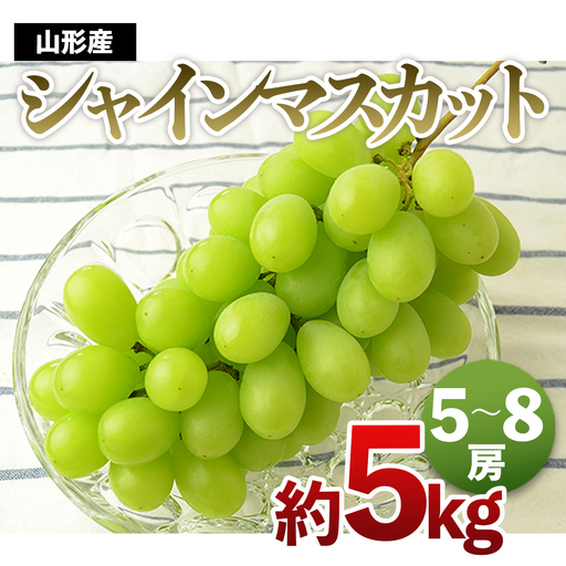 山形の大粒シャインマスカット 秀品 約5kg(5～8房)[10中旬～11月中旬発送]【令和8年産先行予約】FS24-646 くだもの 果物 フルーツ 山形 山形県 山形市 2026年産