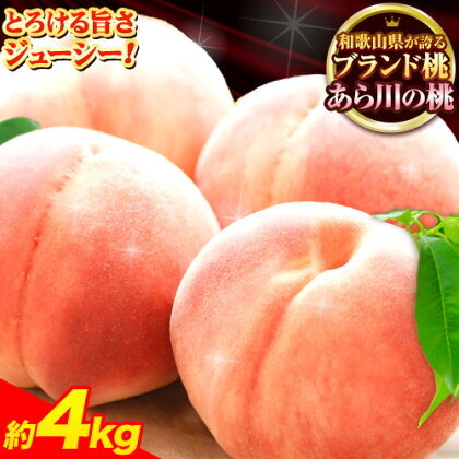 桃 あら川の桃 約4kg