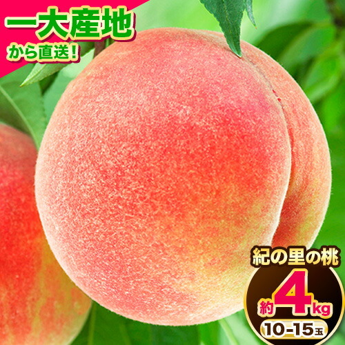 【2027年先行予約】桃 紀の里の 桃 約4kg