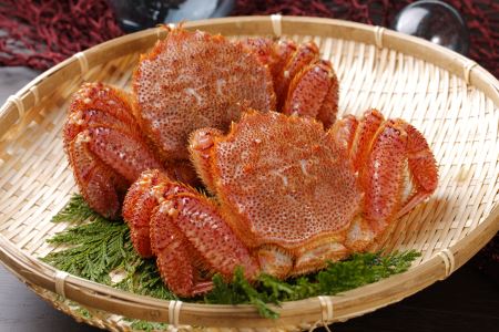 【北海道根室産】浜ゆで毛がに300～400g×2尾 F-05006