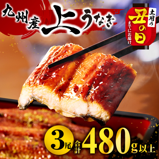 うなぎ 国産 蒲焼 3尾 うなぎ[丑の日までにお届け 480g以上]