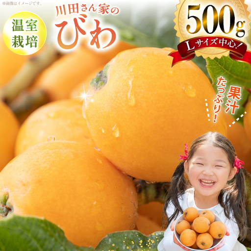 AF220【令和9年度出荷分】びわ 果汁たっぷり！川田さん家の温室栽培びわ 500g