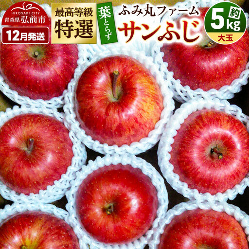 【26年12月発送】りんご サンふじ【贈答用】約5kg 最高等級「特選」大玉 葉とらず 糖度14度以上
