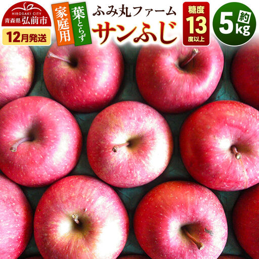 【26年12月発送】りんご サンふじ【家庭用】約5kg 葉とらず 糖度13度以上