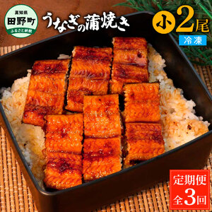 うなぎの蒲焼き(小) 2尾×3回 定期便 3ヶ月 定期コース タレ付き 山椒付き