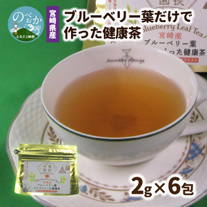 宮崎県産 ブルーベリー葉 だけで作った 健康茶 ポリフェノール