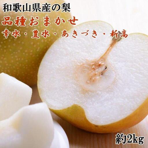和歌山県産の梨 約2kg(品種おまかせ)［2027年8月中旬～2027年9月中旬頃に順次発送予定］［TM181］