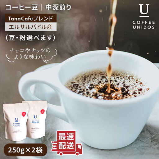 中深煎り コーヒー 豆 タナカフェブレンド 250g × 2袋( 豆 ・ 粉 選べます ) [糸島] [COFFEE UNIDOS] 