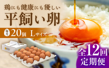 ★12回 定期便 ★ こだわり の 卵「天上卵」20個セット 糸島市 / 糸島ファームハウスUOVO 鶏卵 平飼い たまご 玉子 [AKH004]