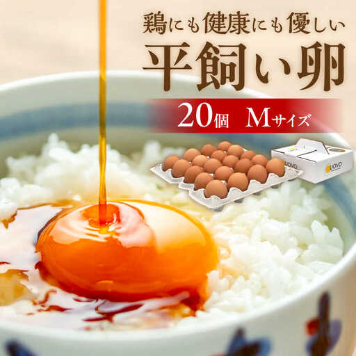 平飼い 卵 「 天上卵 」 20個セット 糸島市 / 糸島ファームハウスUOVO [AKH001] 鶏卵 卵 平飼い 平飼い卵 玉子 たまご 高級 新鮮 自然 自家配合飼料