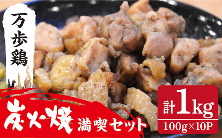 万歩鶏の炭火焼 満喫 セット《糸島》【緑の農園】[AGA018]