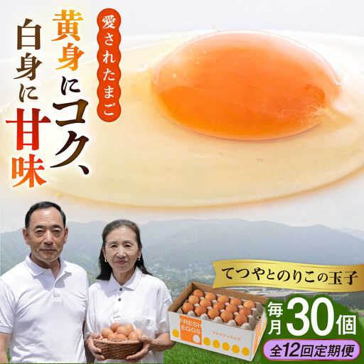 【全12回定期便】卵 30個×12ヶ月 てつやとのりこの玉子 卵 たまご [AWD010]
