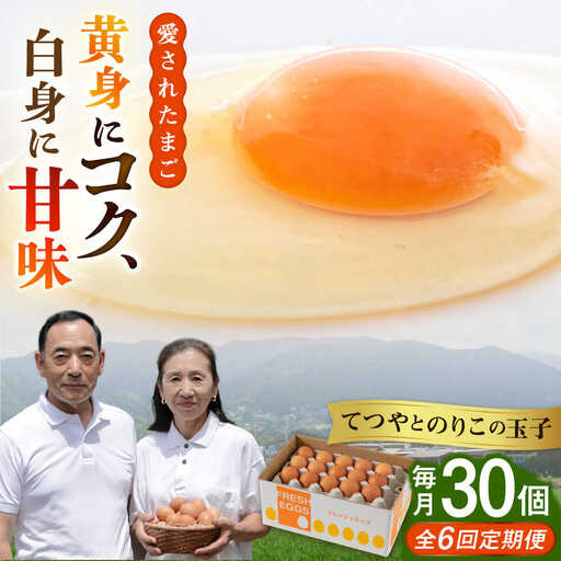 【全6回定期便】卵 30個×6ヶ月 てつやとのりこの玉子 卵 たまご [AWD009]