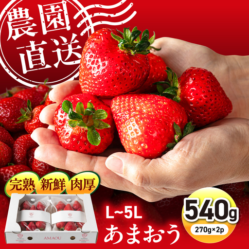 [2027年1〜2月配送][農園直送]糸島のあまおう 270g×2パック (サイズおまかせL?5L) 糸島市 / 磯本農園 / TANNAL [ATB003] いちご 苺 イチゴ
