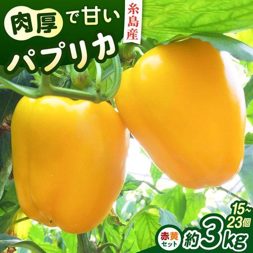 【先行受付】糸島産 肉厚 パプリカ 約3kg(15-23個) 【2026年11月以降順次発送】福岡県  糸島市 / シーブ [AHC032] 野菜 ピーマン