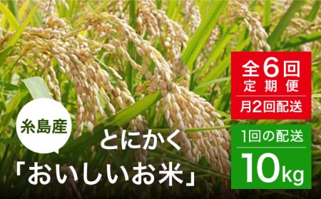 【全6回（月2回）定期便】とにかくおいしいお米 夢つくし 10kg 糸島市 シーブ [AHC024] 米 定期便