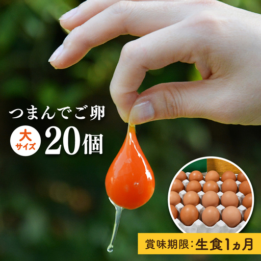  つまんでご卵 卵 大サイズ 20個  [AGA008] たまご