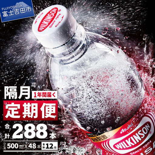 強炭酸水【年6回・隔月お届け！】ウィルキンソンタンサン PET500ml×2箱（48本入）定期便 炭酸