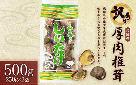 [訳あり]お徳用厚肉椎茸 500g (250g×2袋) 干し椎茸 どんこ
