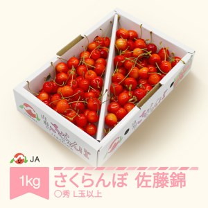 先行予約 さくらんぼ 佐藤錦 ja-snbax1