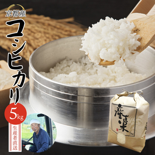 【令和7年度産】 コシヒカリ 5kg 精米 白米 こしひかり お米