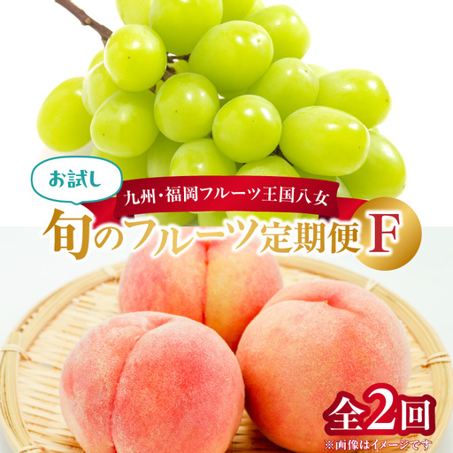 九州・福岡フルーツ王国八女　お試し旬のフルーツ定期便【全２回】 F＜配送不可：北海道・沖縄・離島＞ 桃 シャインマスカット もも 果物 先行予約 旬のフルーツ 詰め合わせ 福岡県 お取り寄せ 八女市 072-T019