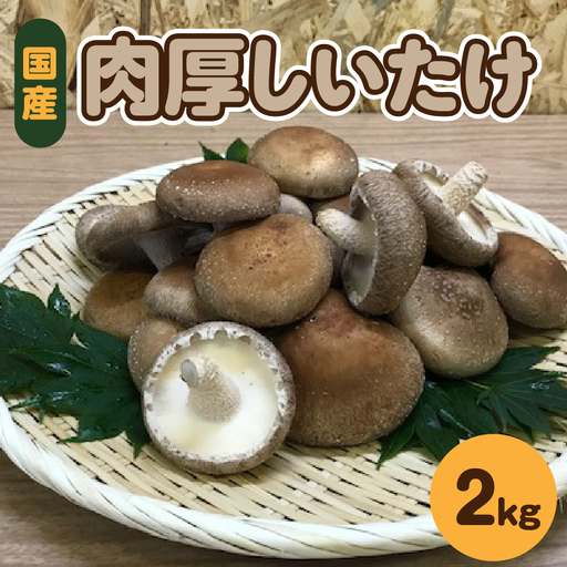 しいたけ 2kg 国産 肉厚 青森 きのこ