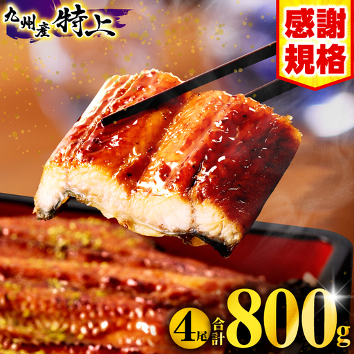 うなぎ 蒲焼 4尾 うなぎ [鰻 九州産 国産 合計800g以上]
