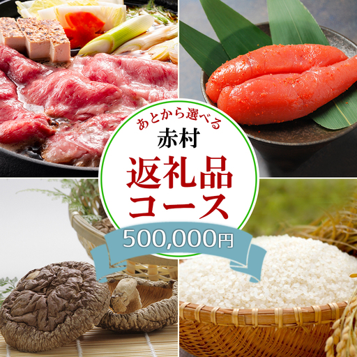 あとから選べる返礼品【５０万円コース】