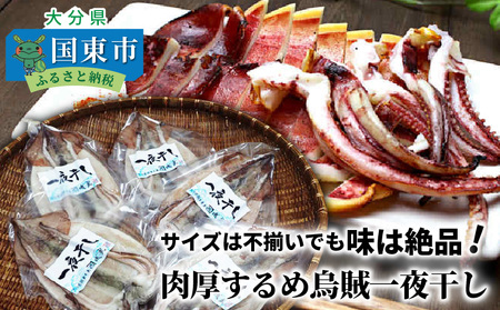 サイズは不揃いでも味は絶品!肉厚するめ烏賊一夜干し2.4㎏_1904R