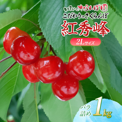 【令和9年産先行予約】こだわりのさくらんぼ「紅秀峰」(2Lサイズ以上)　バラ詰め 1kg（500g×2)　いまいのさくらんぼ園 K-969