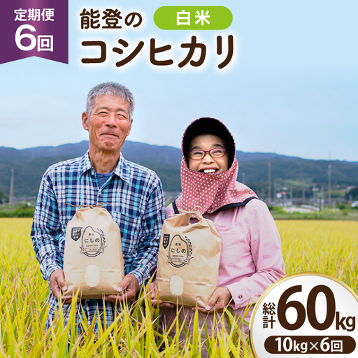 【期間限定発送】 米 定期便 コシヒカリ 白米 10kg 6回 総計 60kg