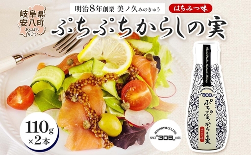  美ノ久 ぷちぷちからしの実 110g×2本 調味料 プチプチ ぷちぷち からし カラシ からしの実 粒マスタード はちみつ醤油 甘じょっぱい 万能 万能調味料 常備 チューブタイプ グリル サラダ ドレッシング お取り寄せご当地 送料無料 岐阜県 安八町