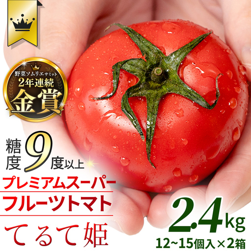 [ 2027年 収穫分 ]2〜6月配送 スーパーフルーツトマト てるて姫 中箱 約1.2kg×2箱[12〜15玉/1] 糖度9度以上 先行予約 フルーツトマト ブランドトマト 野菜 ギフト 贈答 青空レストラン アド街ック天国 グッドモーニング 黄金のワンスプーン 昼めし旅 [BC034sa]
