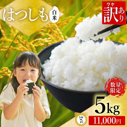 【訳あり】【在庫なくなり次第終了】R7年産 ハツシモ米 【白米】5kg