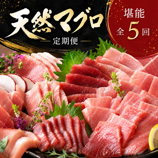 【定期便/計5回】天然マグロ（食べ比べ）【まぐろ】ge008 FN-Limited-PR