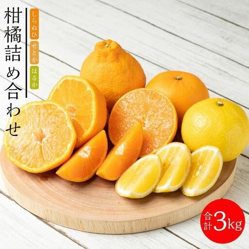 旬の柑橘詰め合わせ(約3kg)2027年3月上旬〜発送予定
