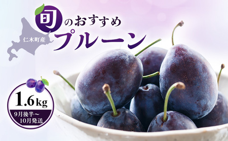 [2026年発送] 【9月後半～10月発送】北海道 仁木町産 おすすめプルーン1.6kg（400g×4パック） 果物類 果物 くだものフルーツ 果物詰合せ プルーン [和田農園]