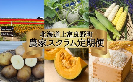 [令和8年産]先行予約 北海道 上富良野 農家スクラム スペシャル 定期便 4回発送 メロン とうもろこし トウモロコシ じゃがいも ジャガイモ かぼちゃ カボチャ お米 ゆめぴりか 果物 フルーツ 野菜 新米