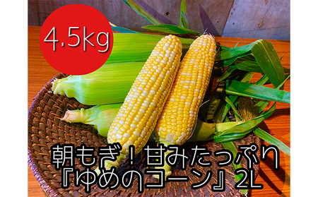[令和8年産]農家直送!朝もぎスイートコーン『ゆめのコーン』2L 10〜12本(4.5kg) 野菜 とうもろこし フルーツコーン