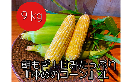 [令和8年産]農家直送!朝もぎスイートコーン『ゆめのコーン』2L 20〜22本(9kg) 野菜 とうもろこし 旬の野菜