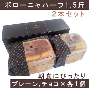 AW019_ボローニャハーフ　1.5斤2本セット（プレーン×チョコ）