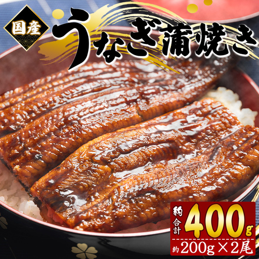 国産 鰻 蒲焼 2尾 計400g以上 うなぎ 鰻 fb-0138