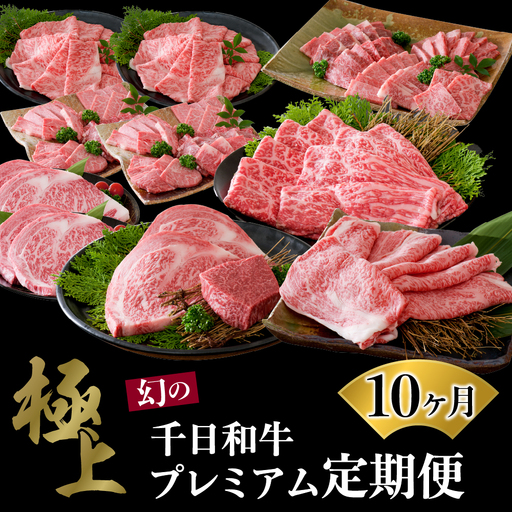 定期便 10ヶ月 千日和牛 幻の山形牛 極上和牛 山形牛 定期便
