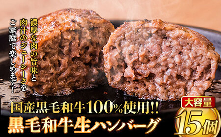 黒毛和牛生ハンバーグ140g×15個 [30日以内に出荷予定(土日祝除く)] 簡単 調理 惣菜 冷凍 牛 湯煎 人気 子供 こども 小分け ハンバーグ 熊本県 玉東町