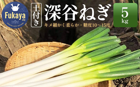 [先行予約]土付き深谷ネギ 5kg [11218-0397]