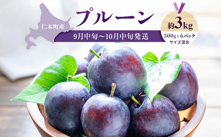 [2026年発送] 【9月中旬～10月中旬出荷】 北海道 仁木町産 プルーン 約3kg（500g×6パック）サイズ混合  果物類 フルーツ 果物 詰合せ セット [くだもの直売  もり園]