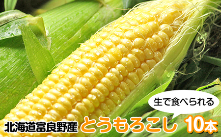 [2026年夏発送]北海道 富良野産 生で食べられる とうもろこし[恵味(めぐみ)] 10本 コーン