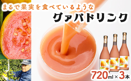 まるで果実を食べているような！グァバドリンク3本セット(各720ml)_K021-013