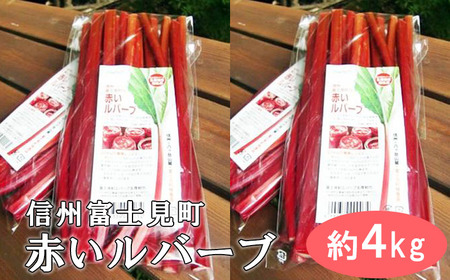 【2026年9月下旬より発送予定】富士見町の赤いルバーブ約4kg（500g×8袋）富士見町ルバーブ生産組合